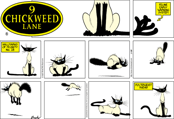 9 Chickweed Lane
Cartoon